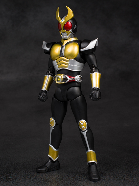 日本製好評 S.H.Figuarts 真骨彫製法 仮面ライダーアギト グランド