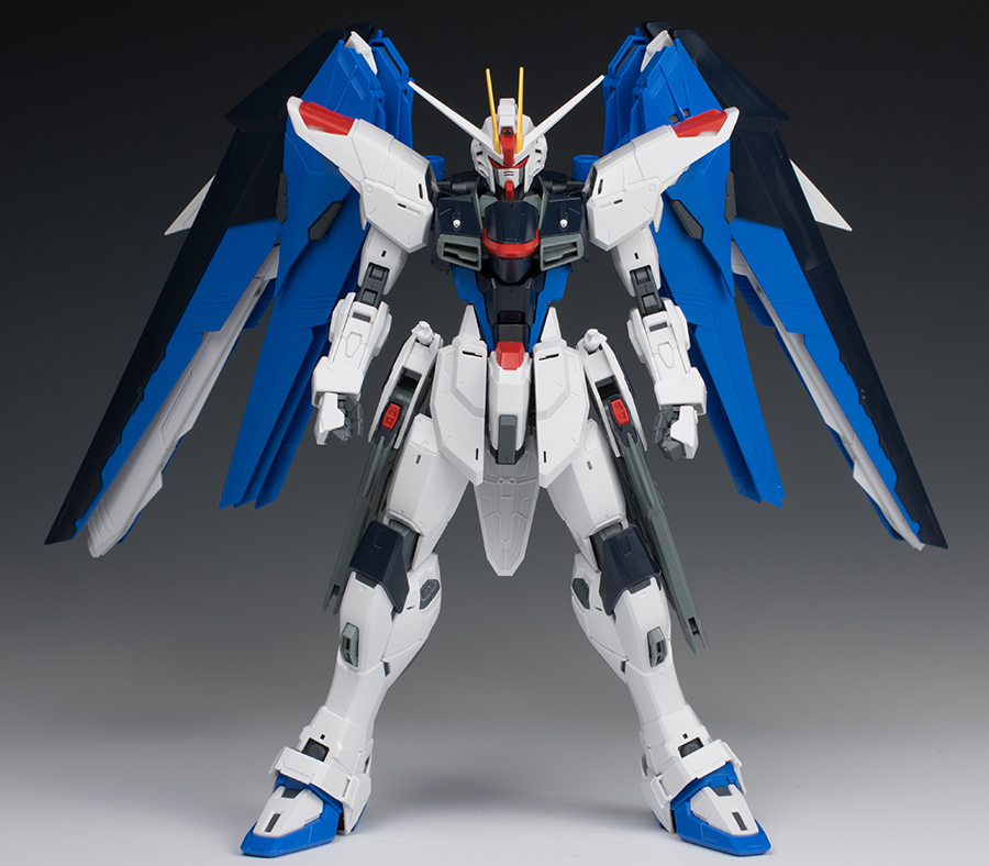 MG フリーダムガンダム Ver.2.0【訳あり】 - daterightstuff.com