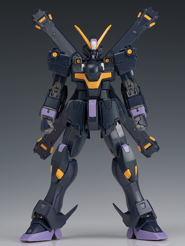 日本正規代理店品 RG クロスボーン ガンダムX2　ガンプラ　機動戦士　ガンダム　プレバン　PB