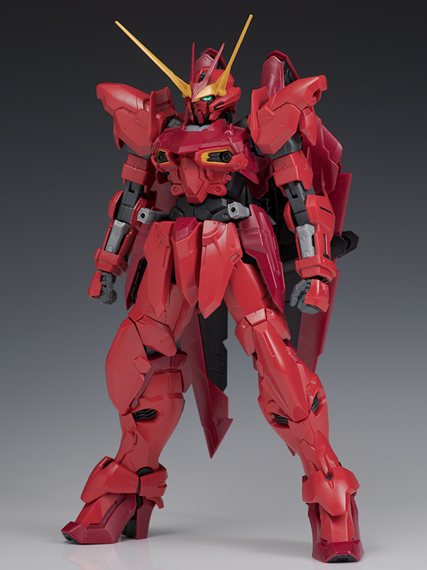 MG 1/100 テスタメントガンダム プラモデル ガンダム ガンプラ-