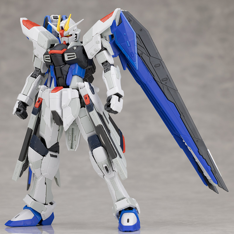 RG フリーダムガンダム Ver.GCP | hartwellspremium.com